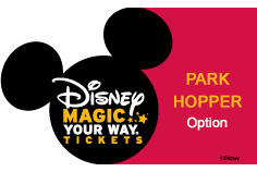 Disney Hopper Plus Ticket